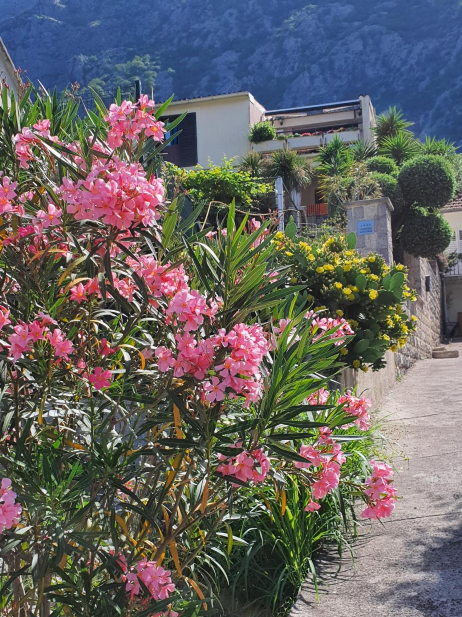 La Grande Apartments Cattaro Esterno foto